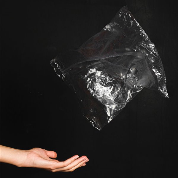 Bolsa