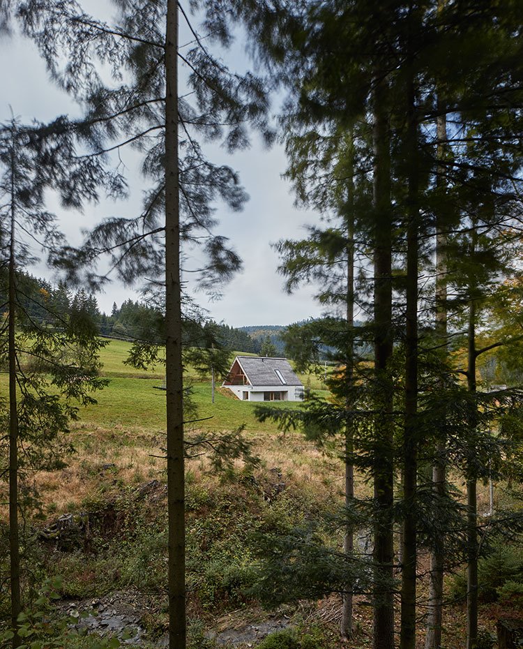 Casa en medio del campo entre zona arbolada 