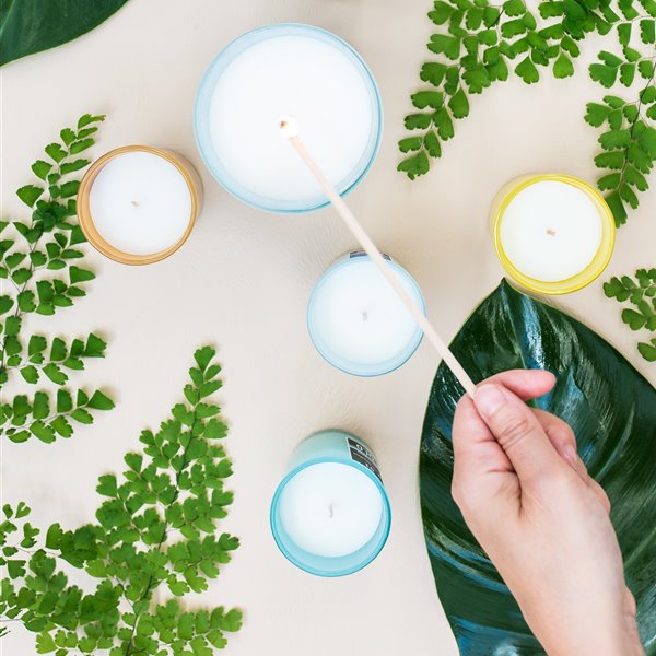 Por qué estas velas con aromas poco apetecibles para la casa baten récords 