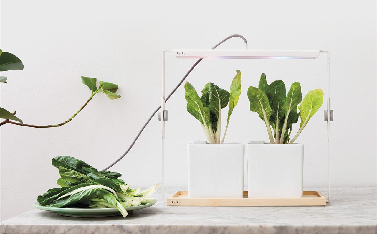 Sistema de iluminación LED para el cultivo de plantas Quadra, de Bulbo Light.