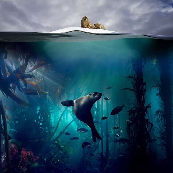 Blue Planet