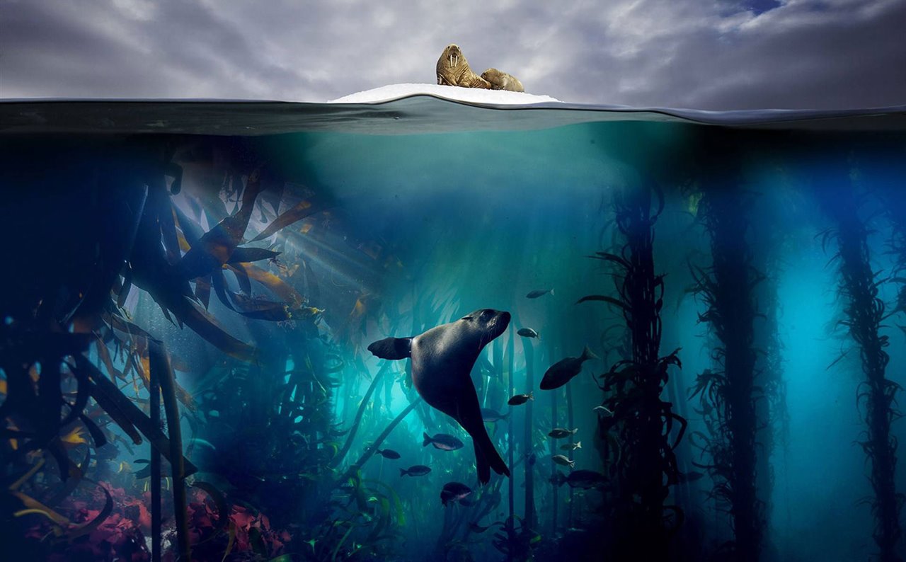 Blue Planet