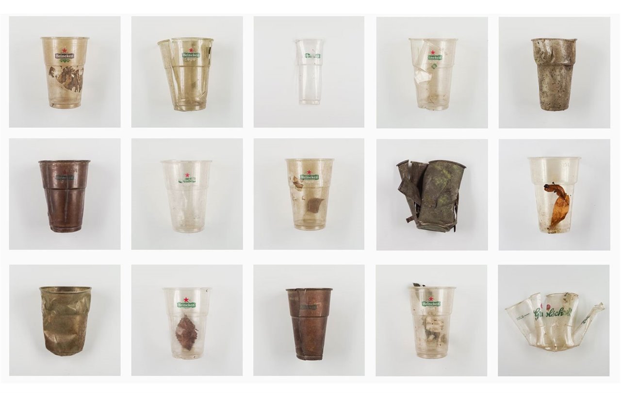 CanalCups