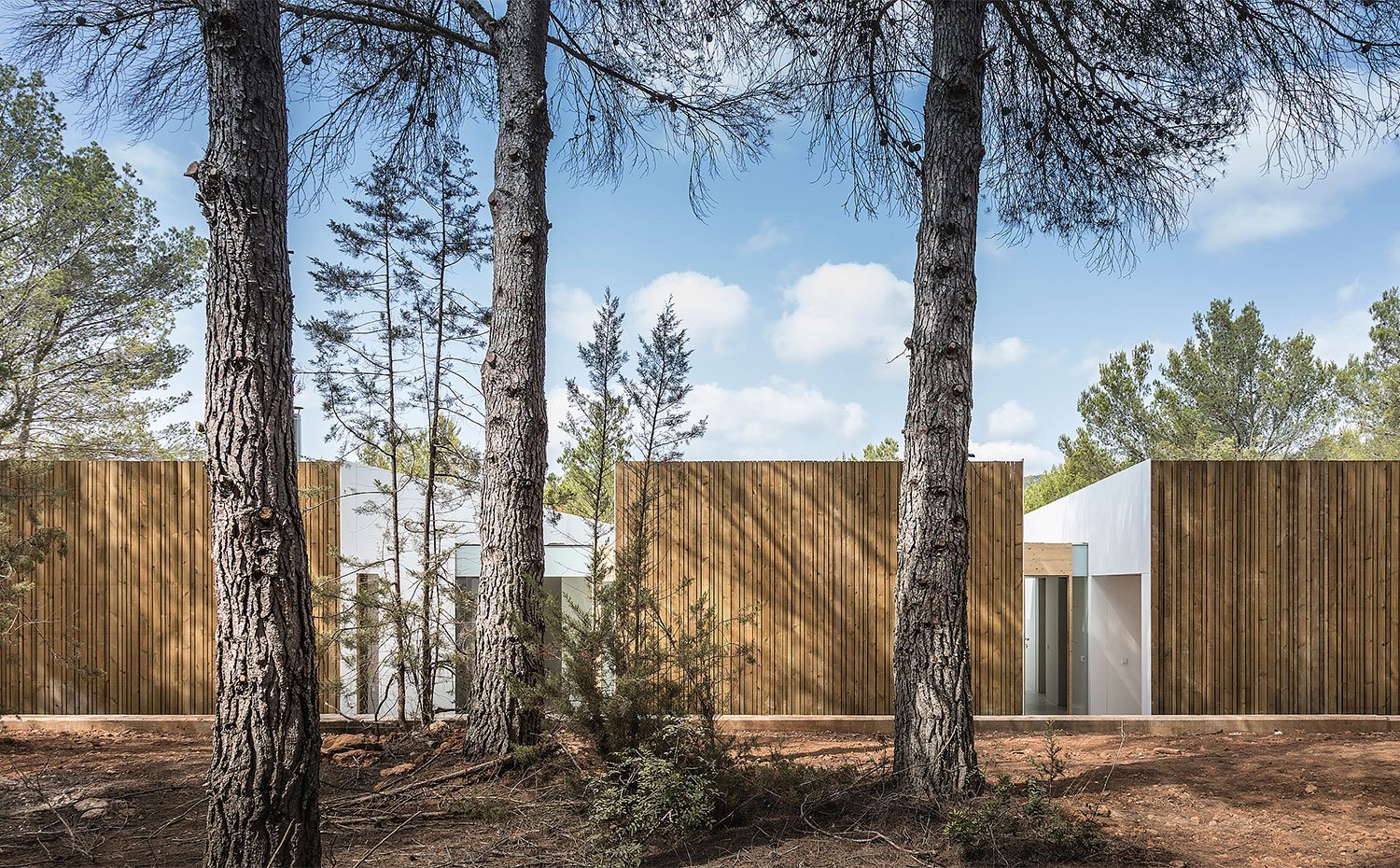 Pinos desde exterior vivienda con vistas de los tres módulos de la vivienda