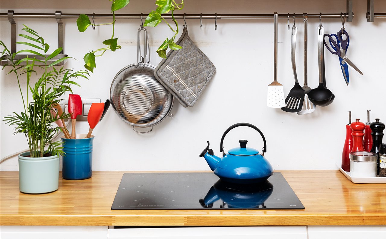 Para la cocina, hay que buscar plantas que aguanten bien estas condiciones de humedad y de temperatura.
