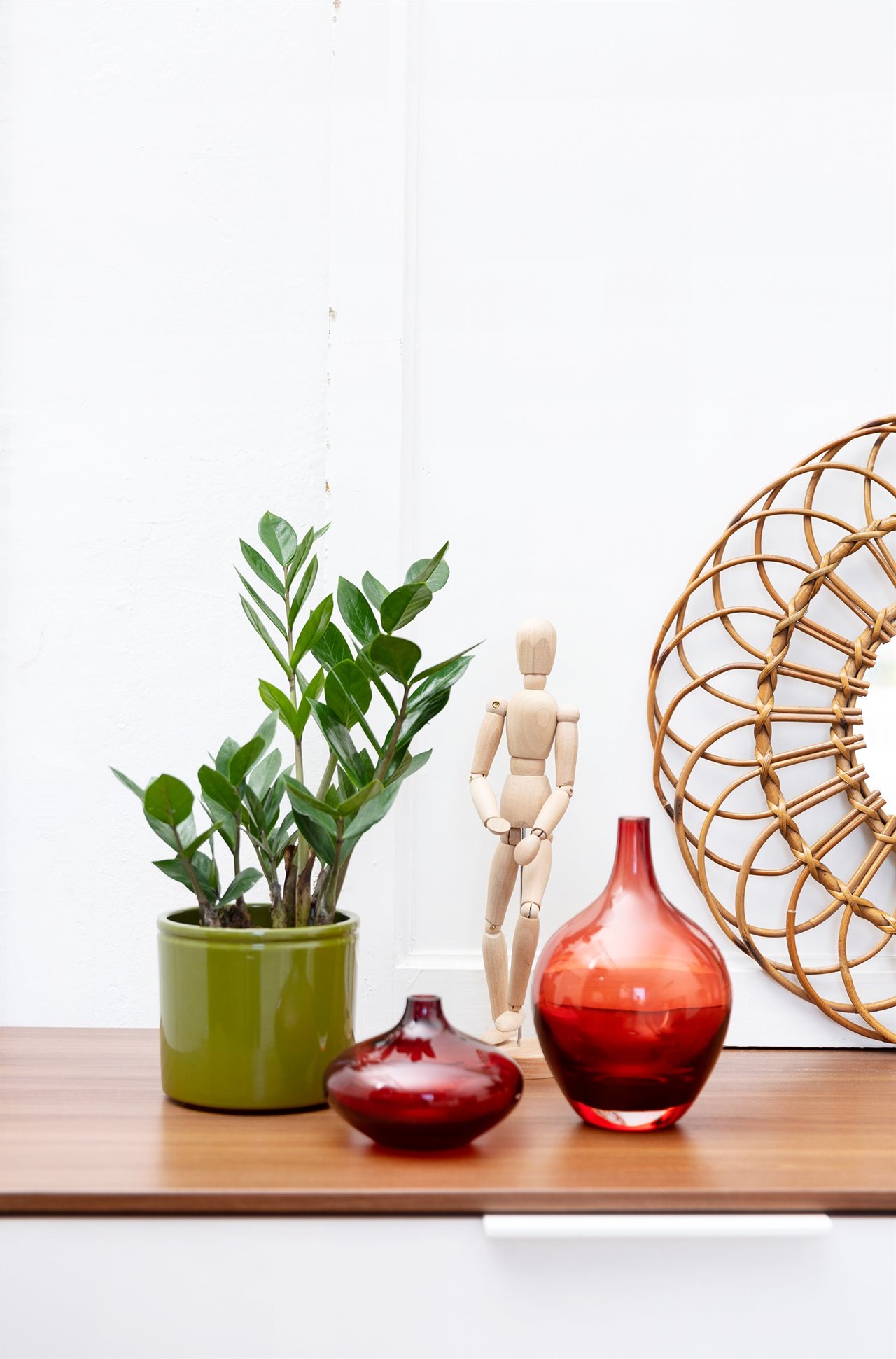 Hay numerosos beneficios relacionados con las plantas, como la purificación del aire.