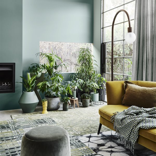 Tendencia nórdica umage plantas naturales en casa