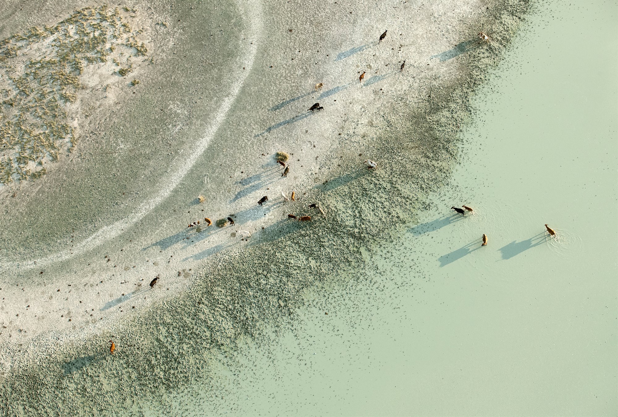 Zack Seckler