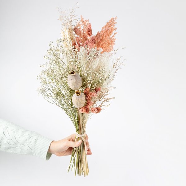  Flores y plantas en casa: la experta te cuenta cuáles y cómo