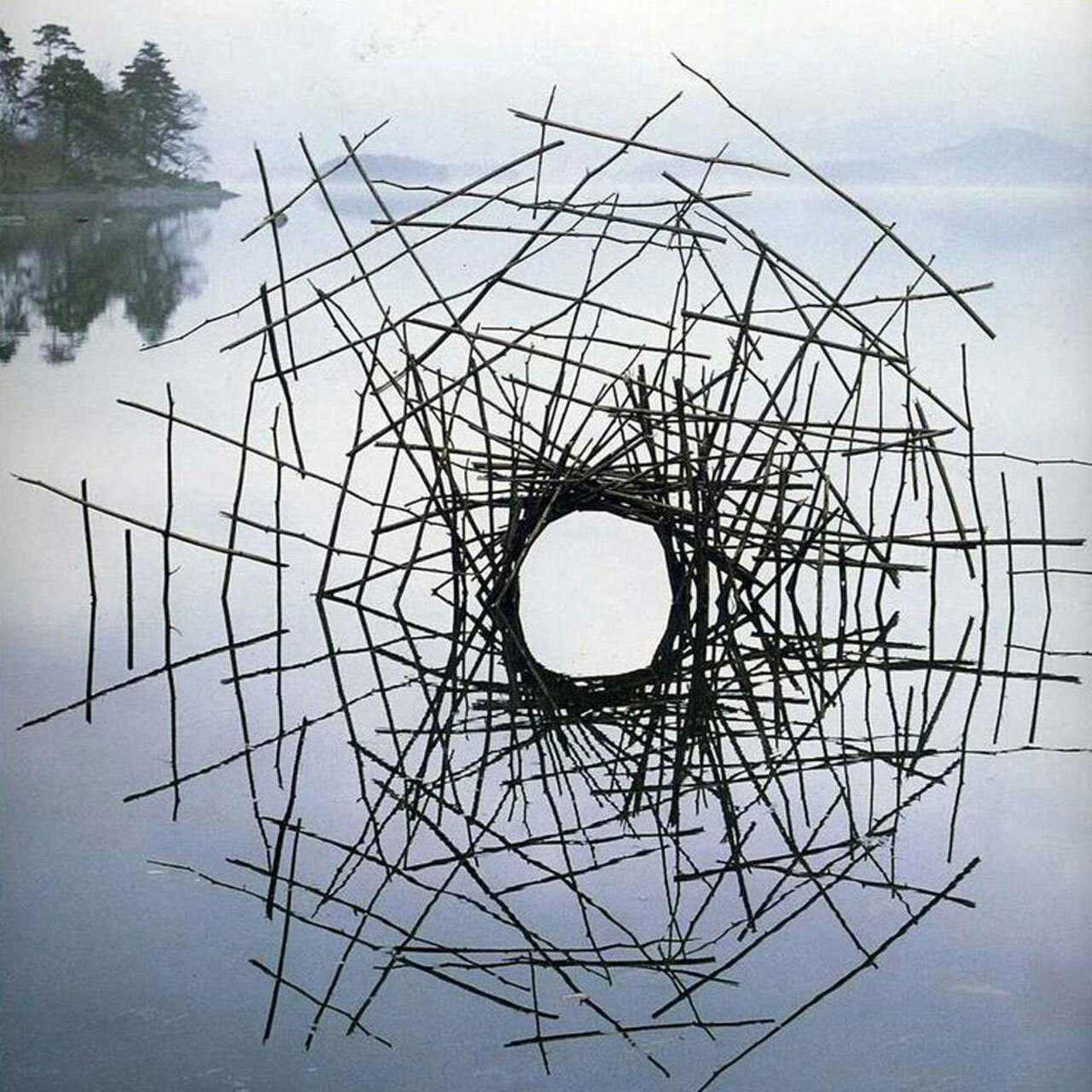 Andy Goldsworthy
