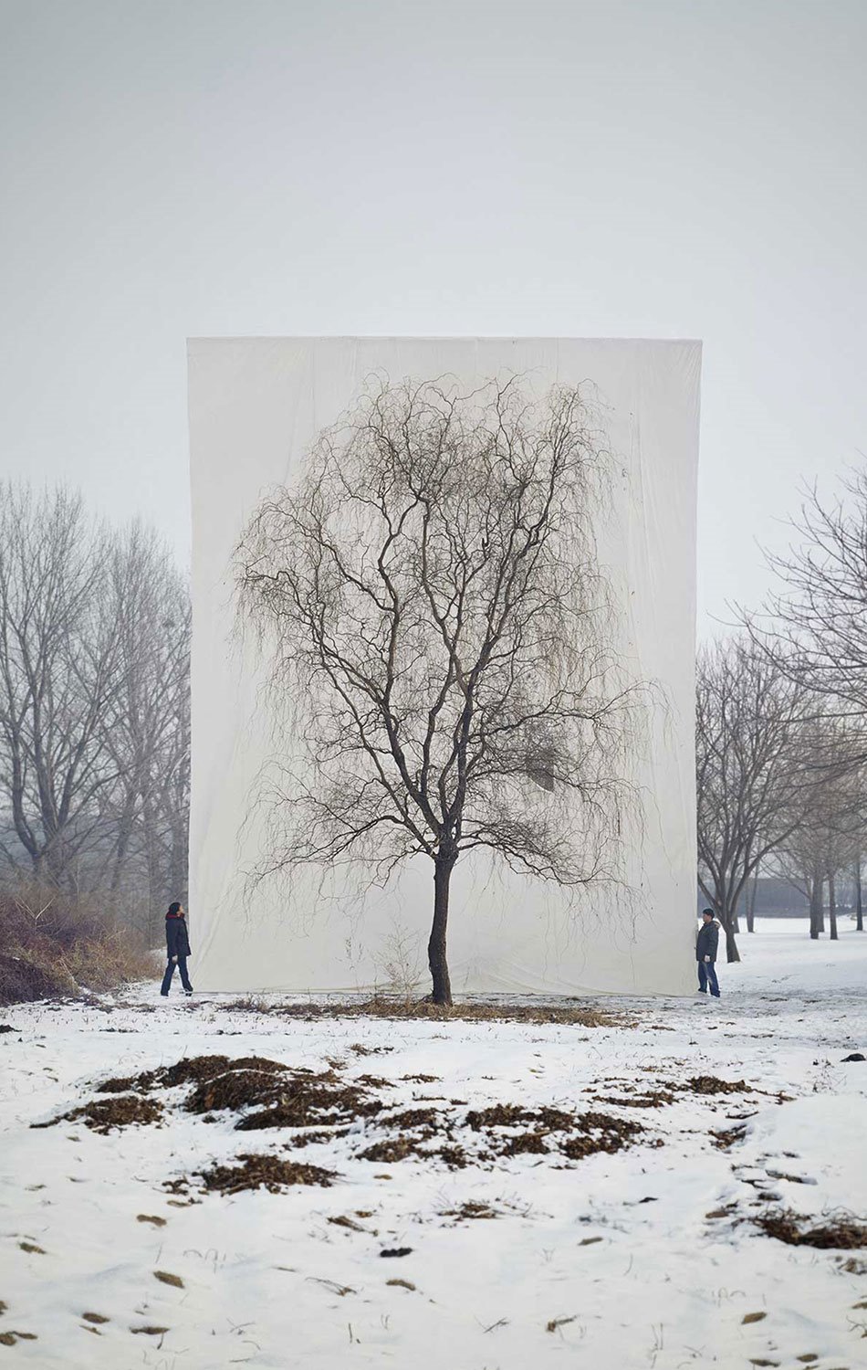 Myoung Ho Lee