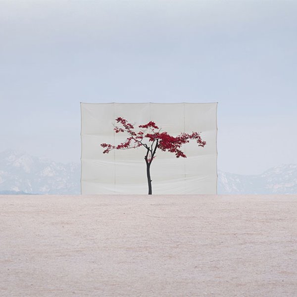Estos artistas hacen sus obras con ayuda de la naturaleza