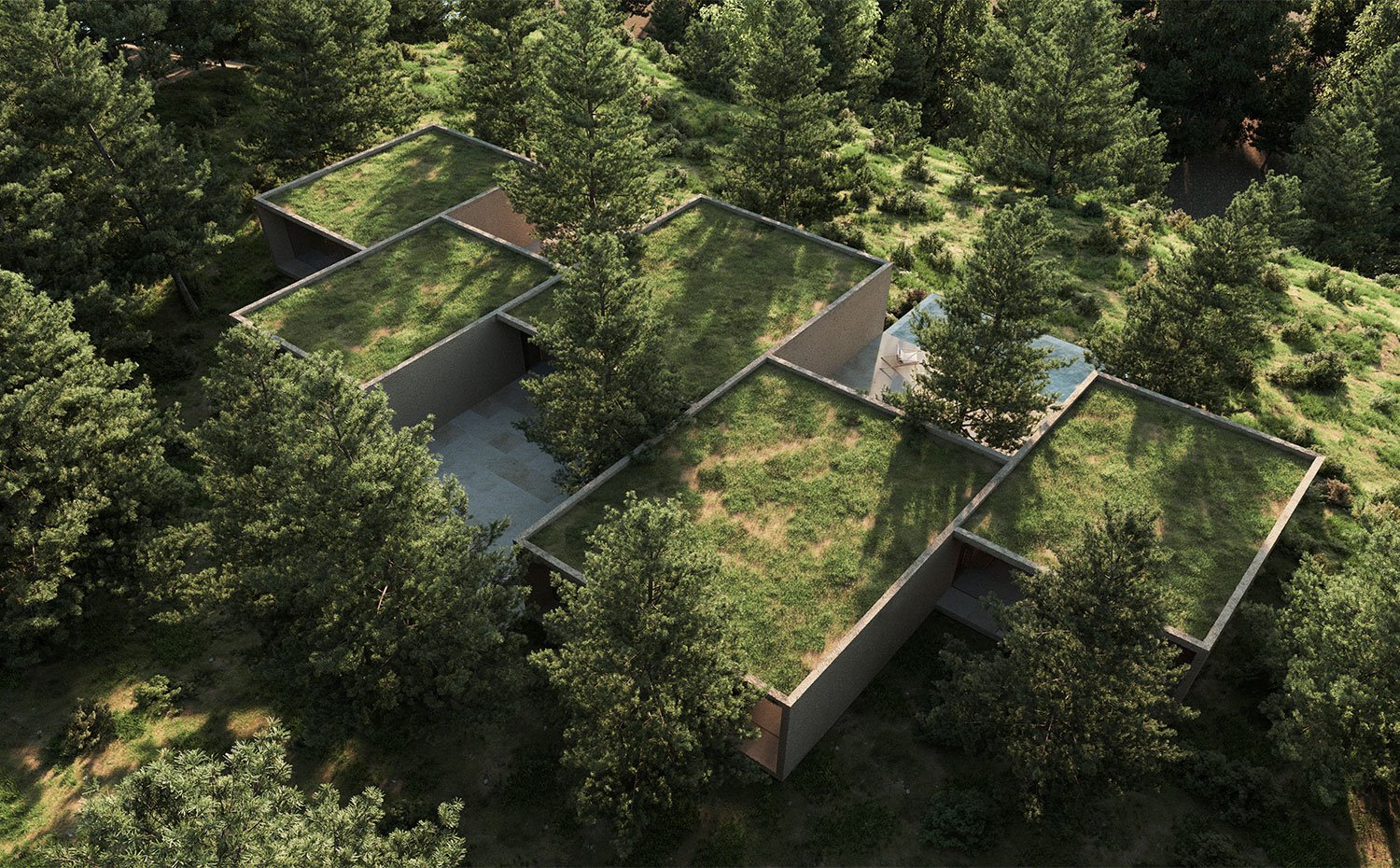 Vísta aérea de diseño de vivienda en entorno natural con cubiertas verdes
