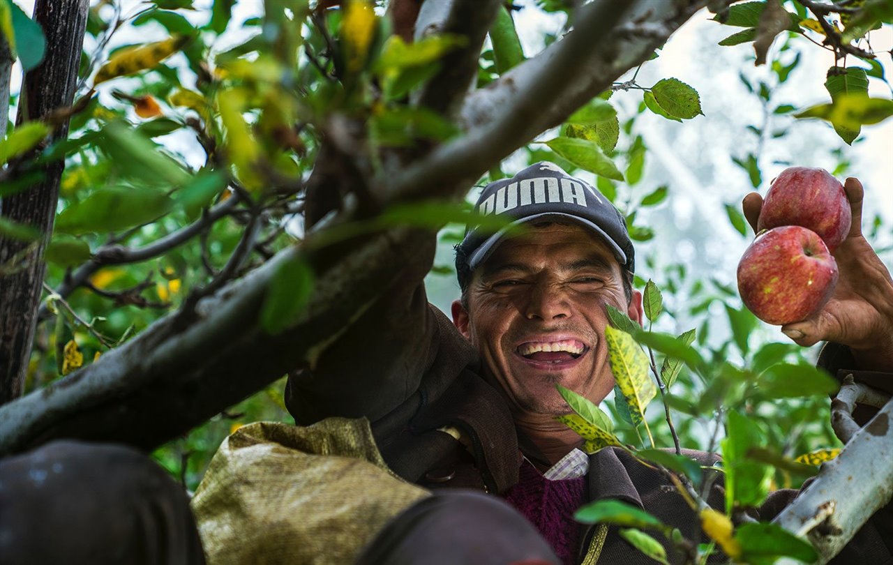 Apoyas a los productores