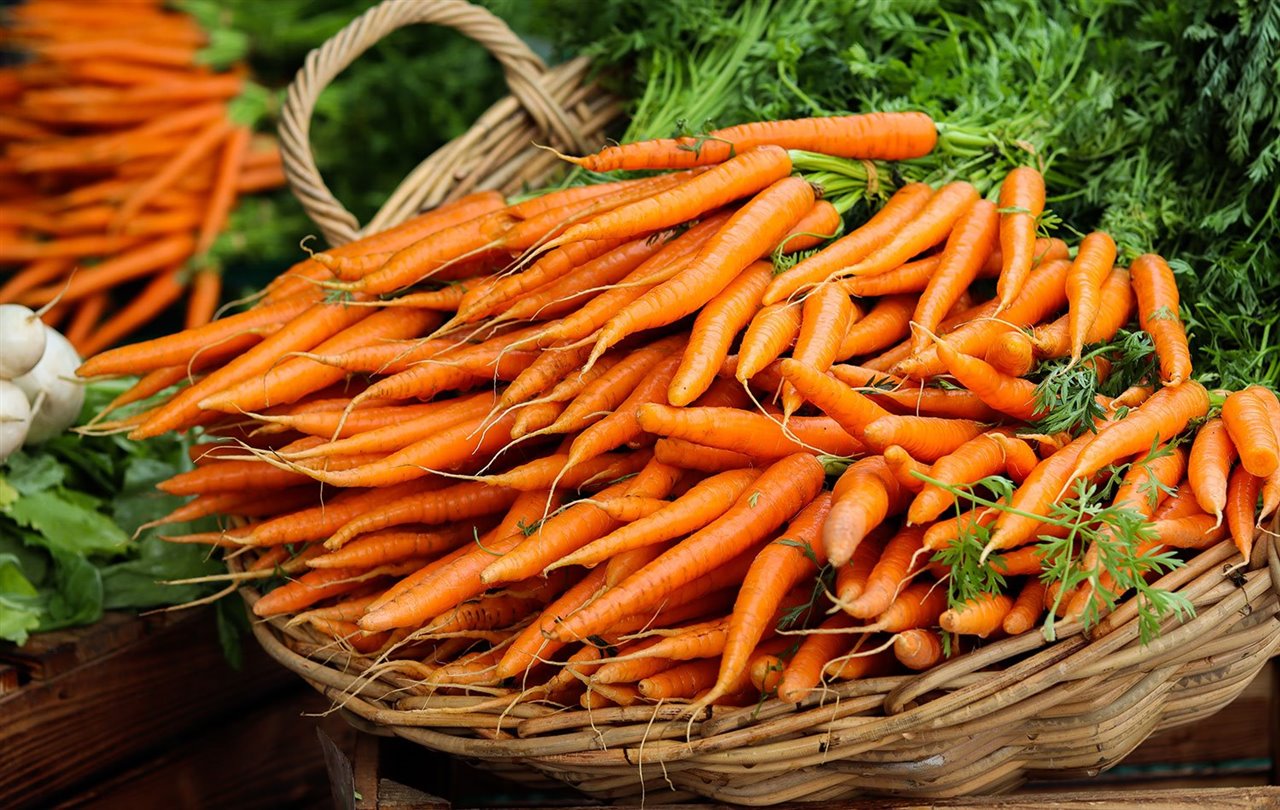 Manojos de zanahorias