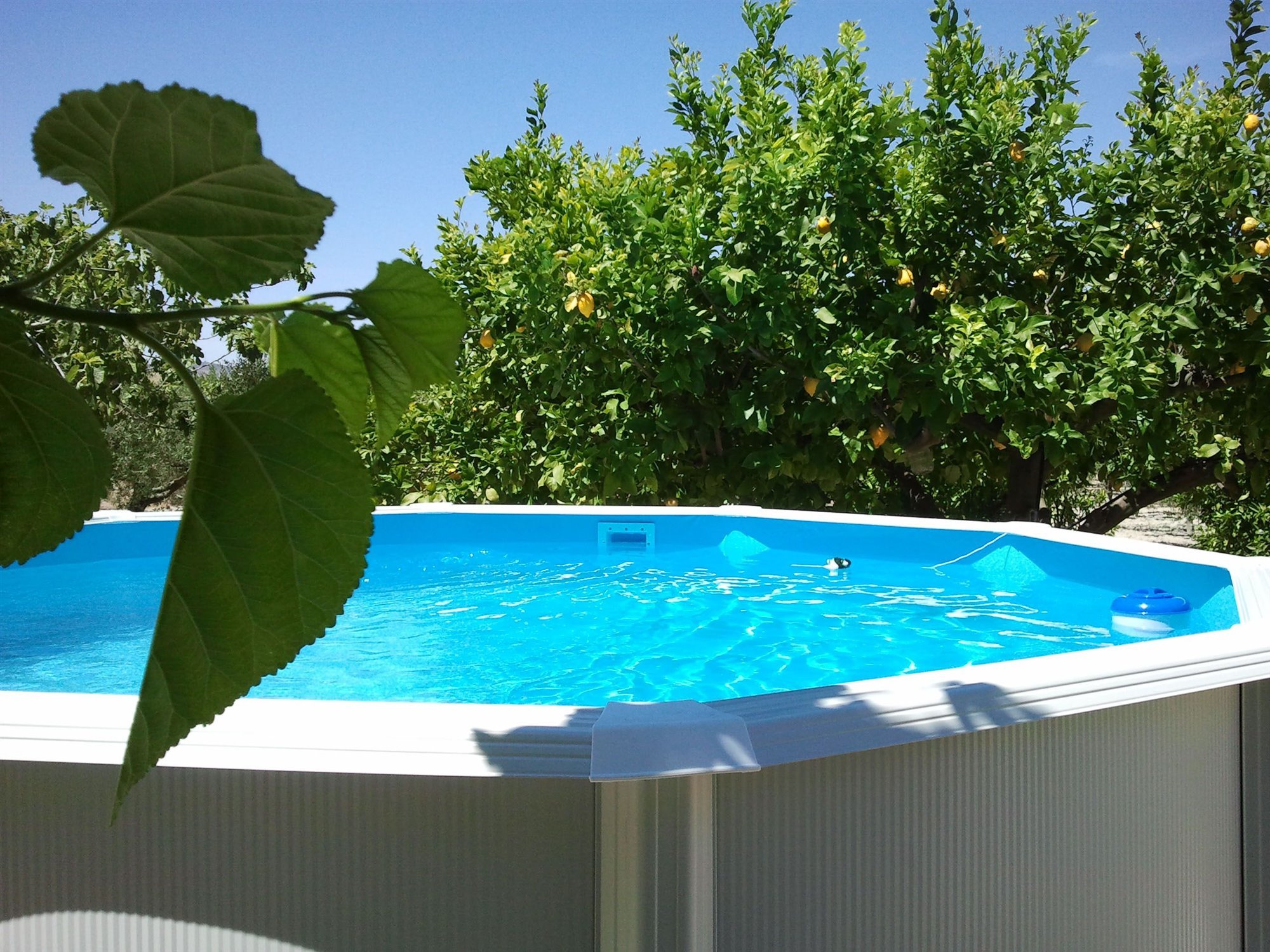 Piscina desmontable de plastico toi serie Canarias
