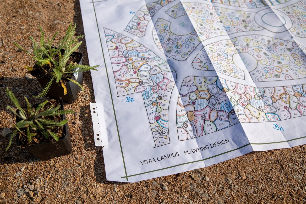El plano deja intuir la magnitud del proyecto, que cuenta con hasta 30.000 especies que florecerán en unos meses, ofreciendo un maravilloso espectáculo. 