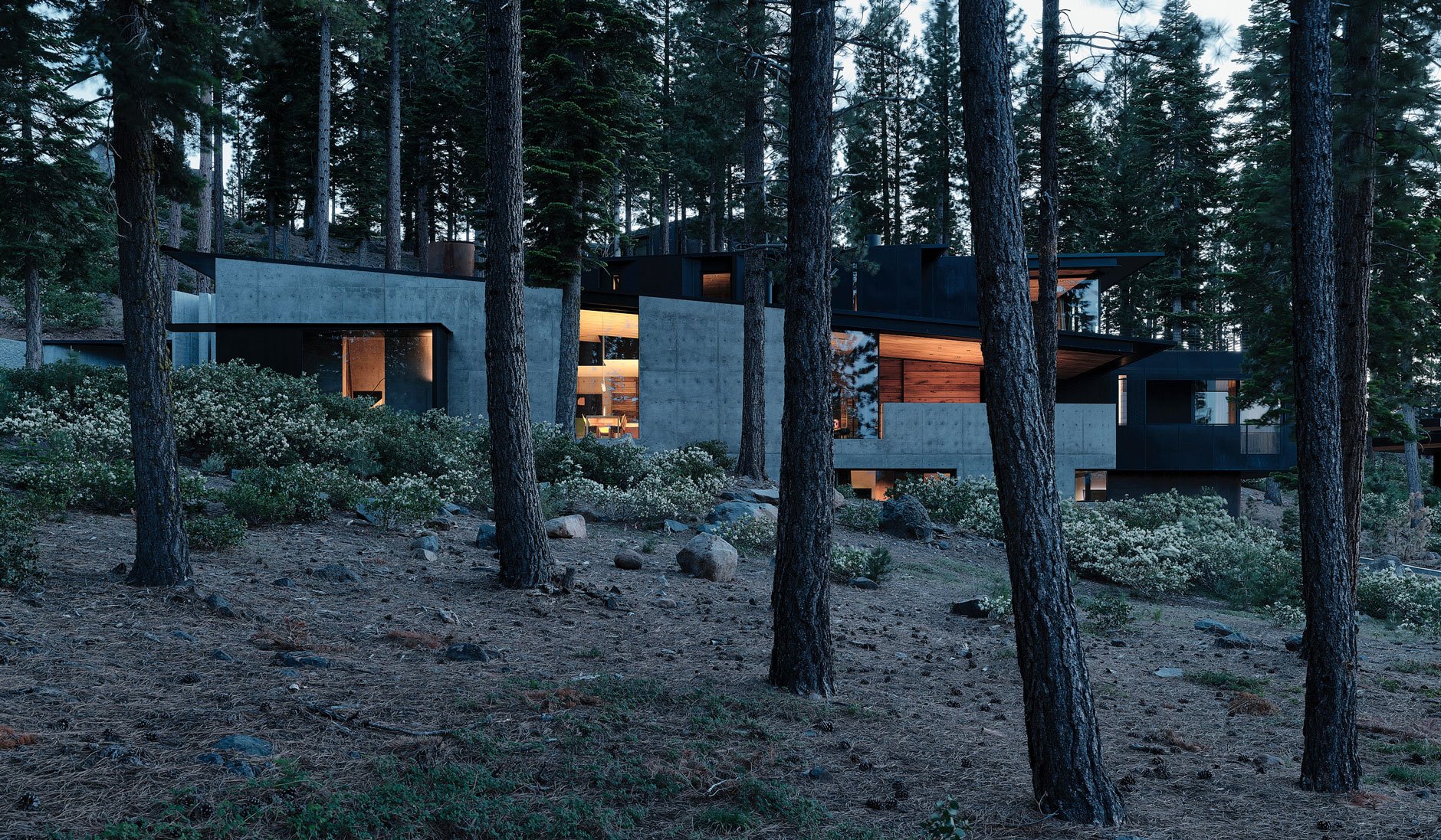 casa moderna en el bosque