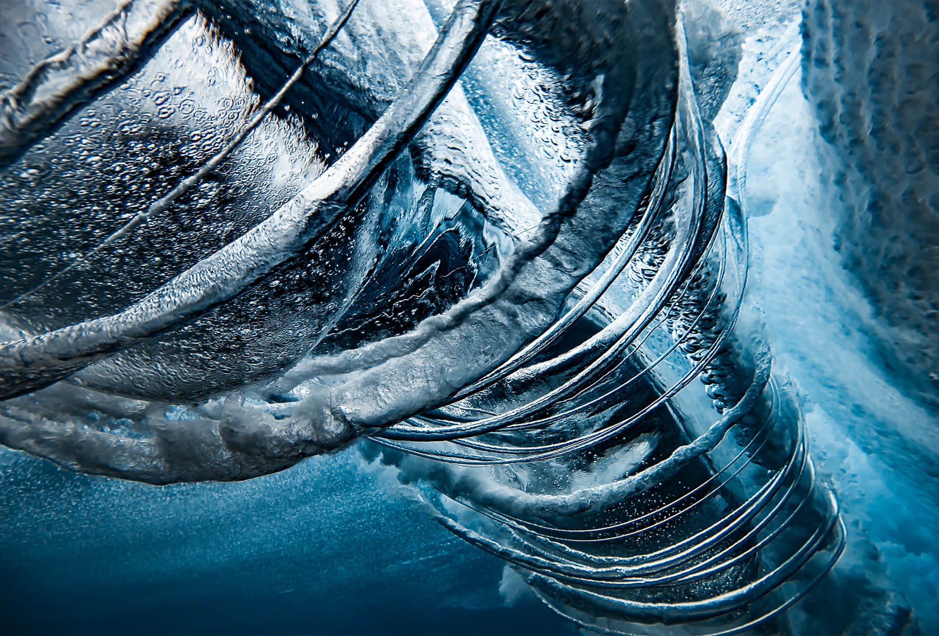 Dia Mundial Oceanos Ben-Thouard