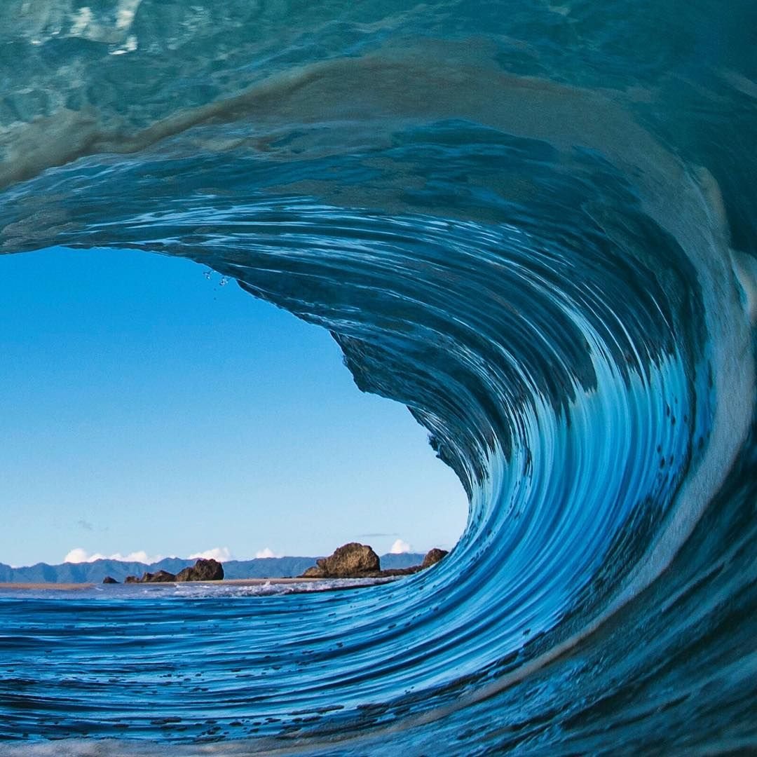 Dia Mundial Oceanos Clark Little