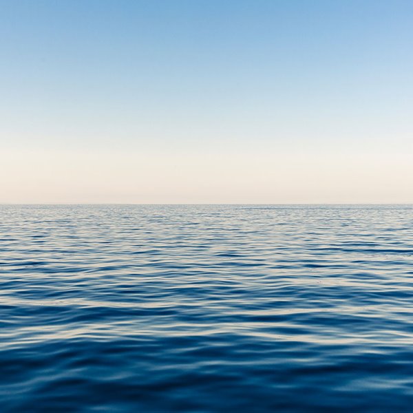 SOS océanos: todo para mantenerlos libres de contaminación durante todo el año