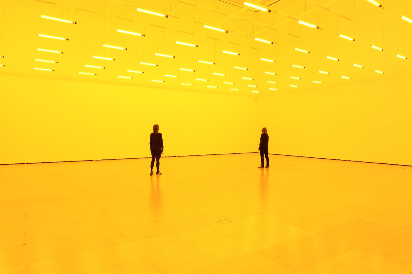 Olafur Eliasson