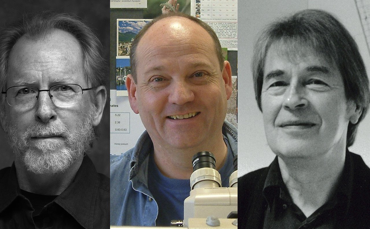 Henry Plummer, Russell Foster y Juha Leiviskä, ganadores de los Daylight Award 2020.