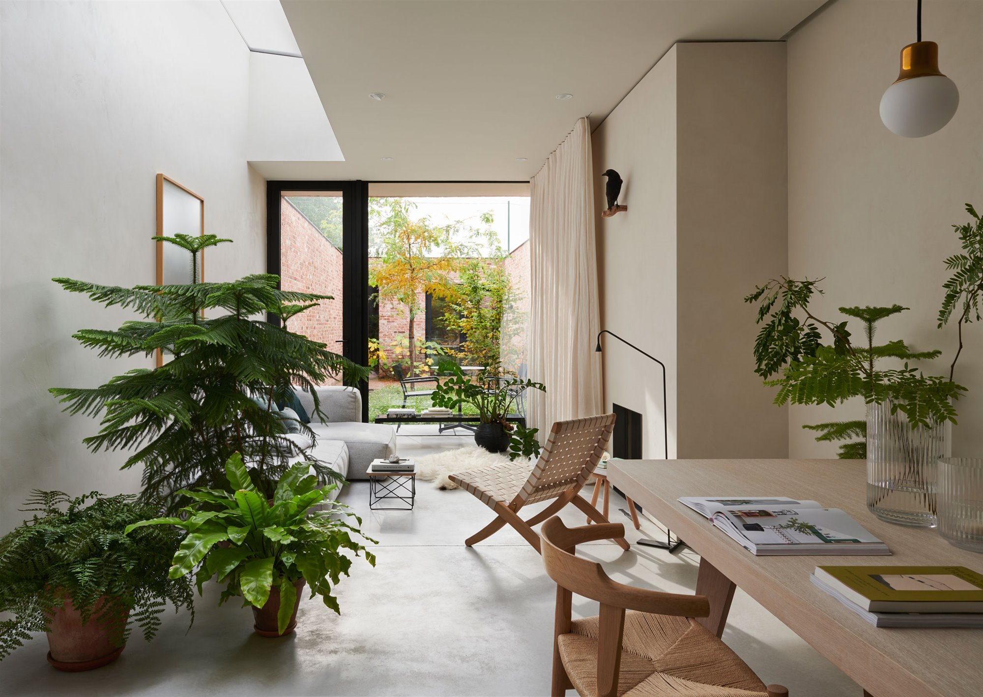 plantas en casa_00516198 O