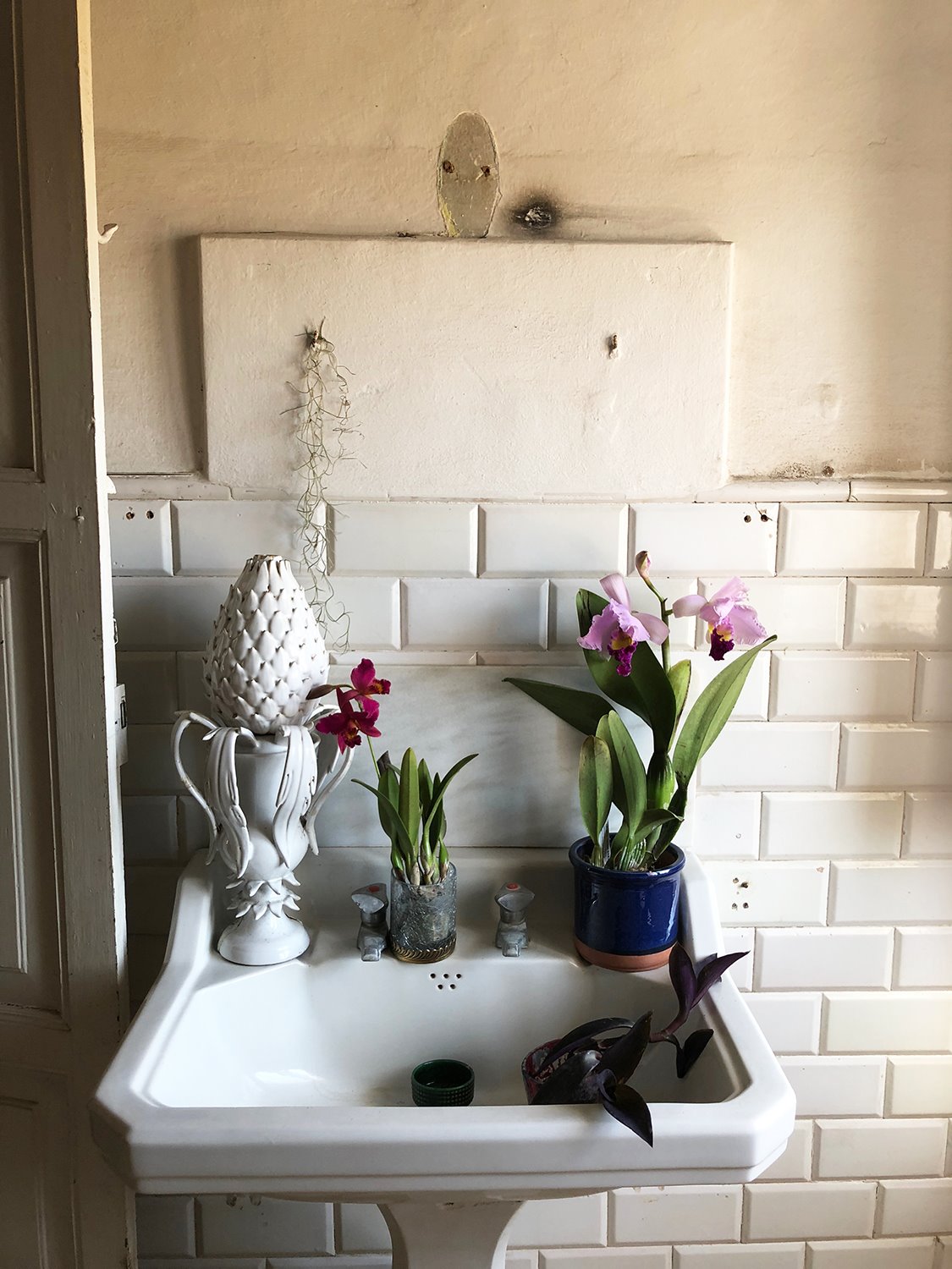 El baño del artista con varios conjuntos de flores y plantas. La imagen es de lo más evocadora.