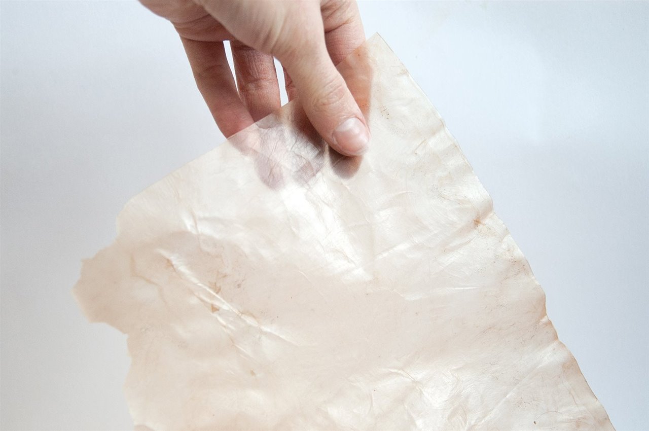 El proyecto From Peel to Peel de la italiana Emma Sicher también apunta a desarrollar materiales de envasado alimentario a partir de bacterias y hongos como la levadura.