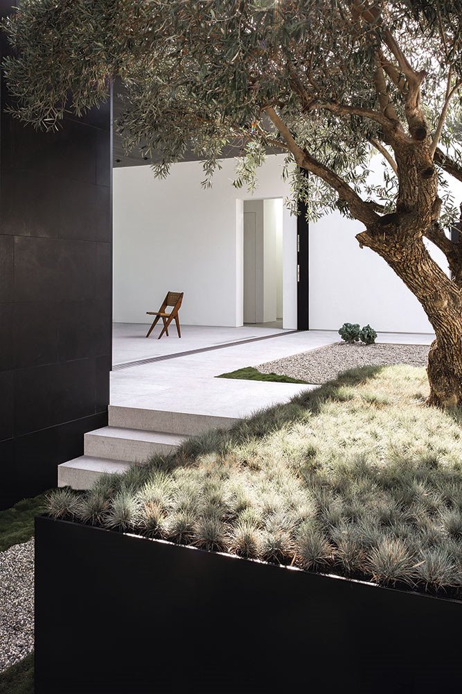 especial-jardines-arboles