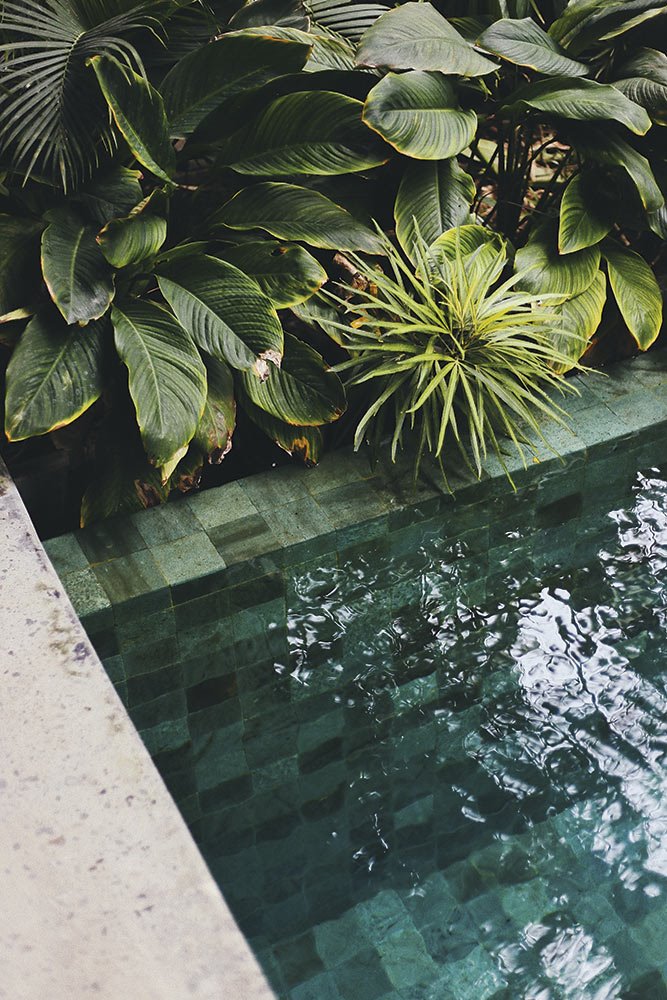 especial-jardines-piscina-estanque