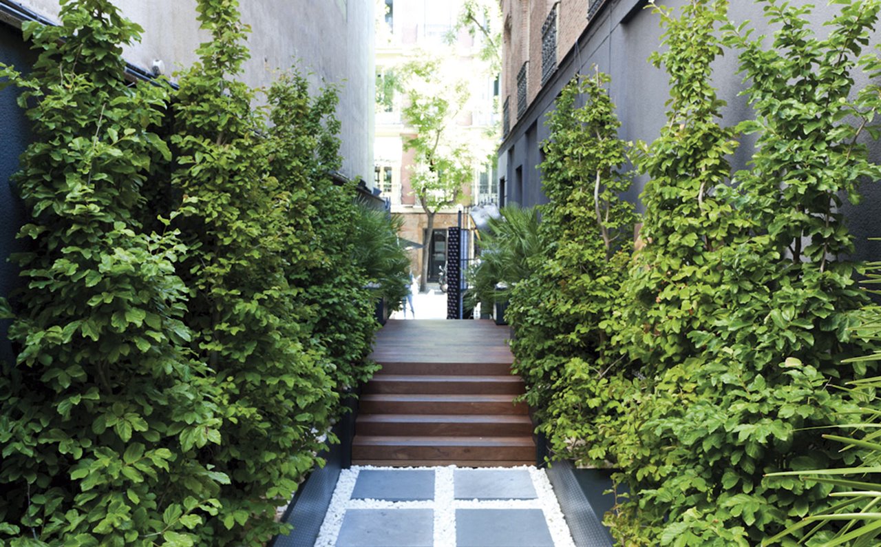 Jardín para la entrada de Casa Decor, Madrid. 