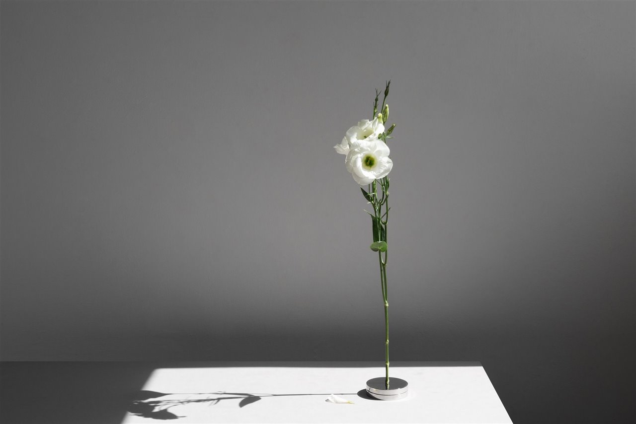 El juego de sombras que produce este florero es uno de sus mayores atractivos. 