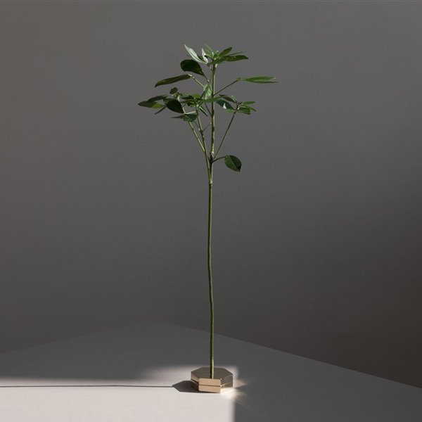¿Es este el jarrón más moderno, elegante y minimalista que jamás se ha creado?