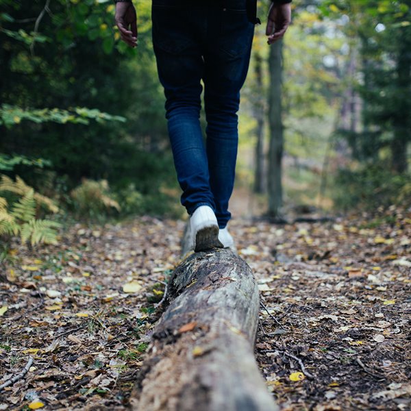 Caminar en el bosque
