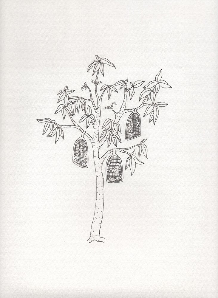 design miami FormaFantasma Botanica Farm (set of five) A4 hand drawing $3,000