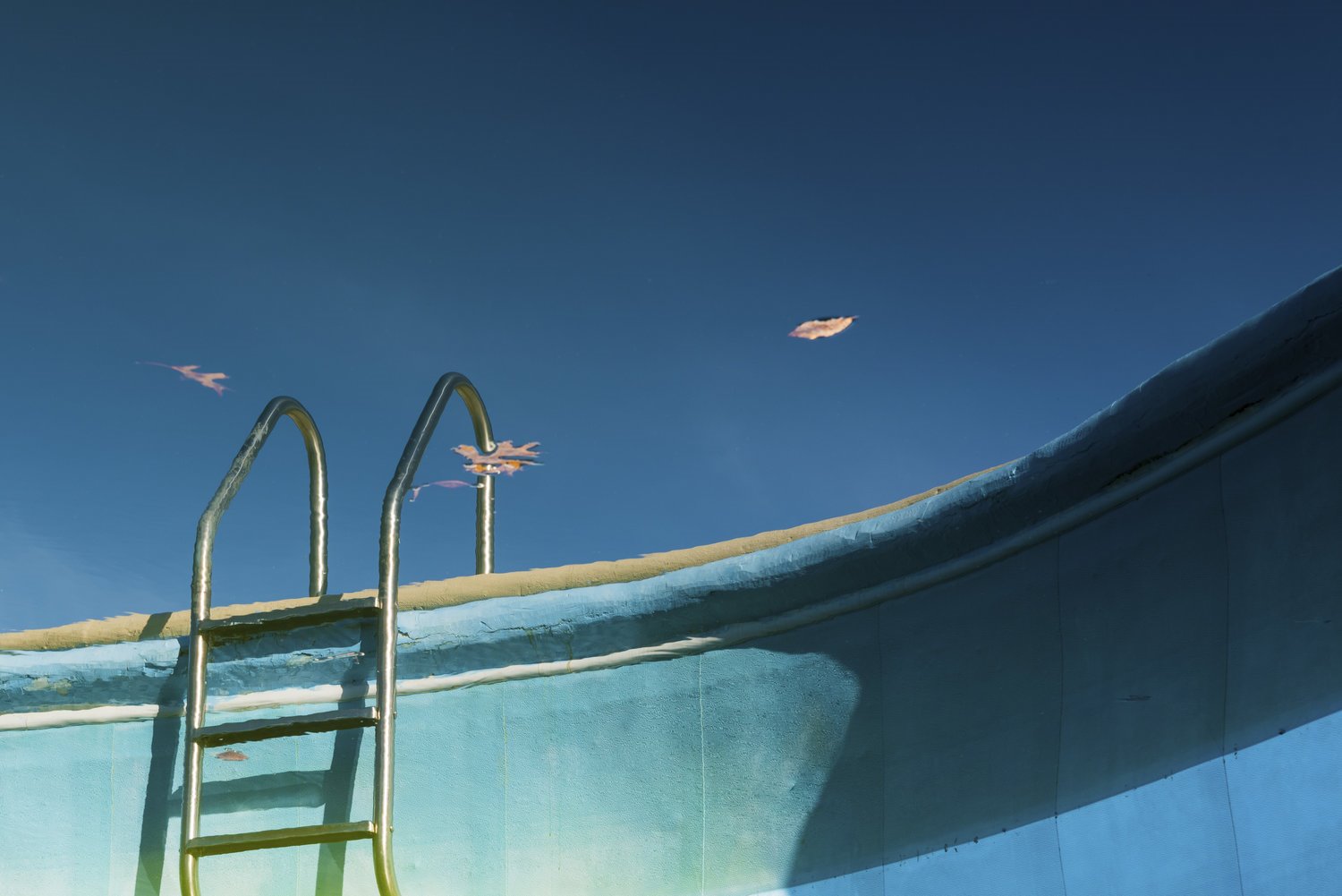 Fotografías Last Night I Dreamt I Knew How to Swim de Natalie Christensen 