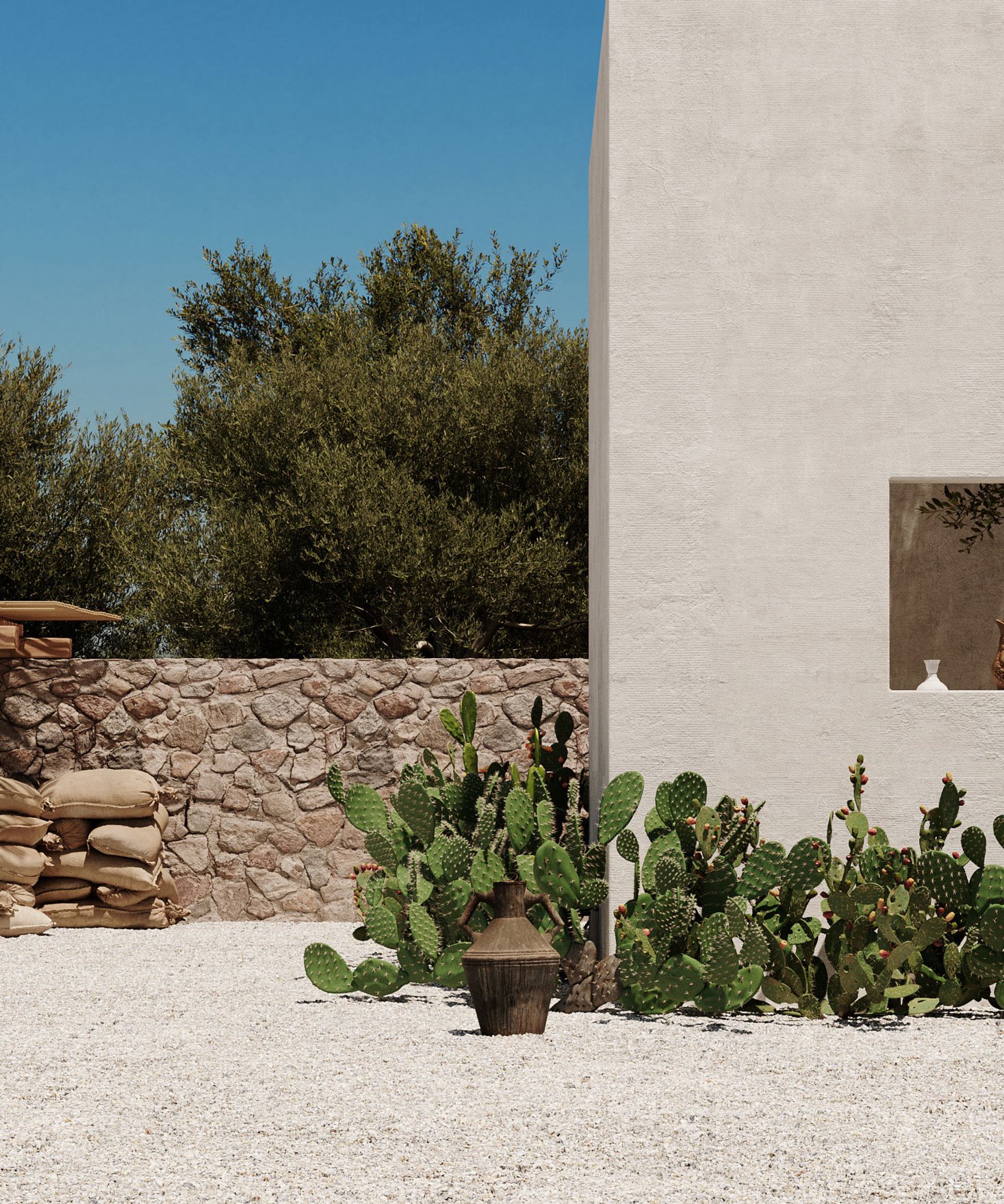 cactus-villa-calma