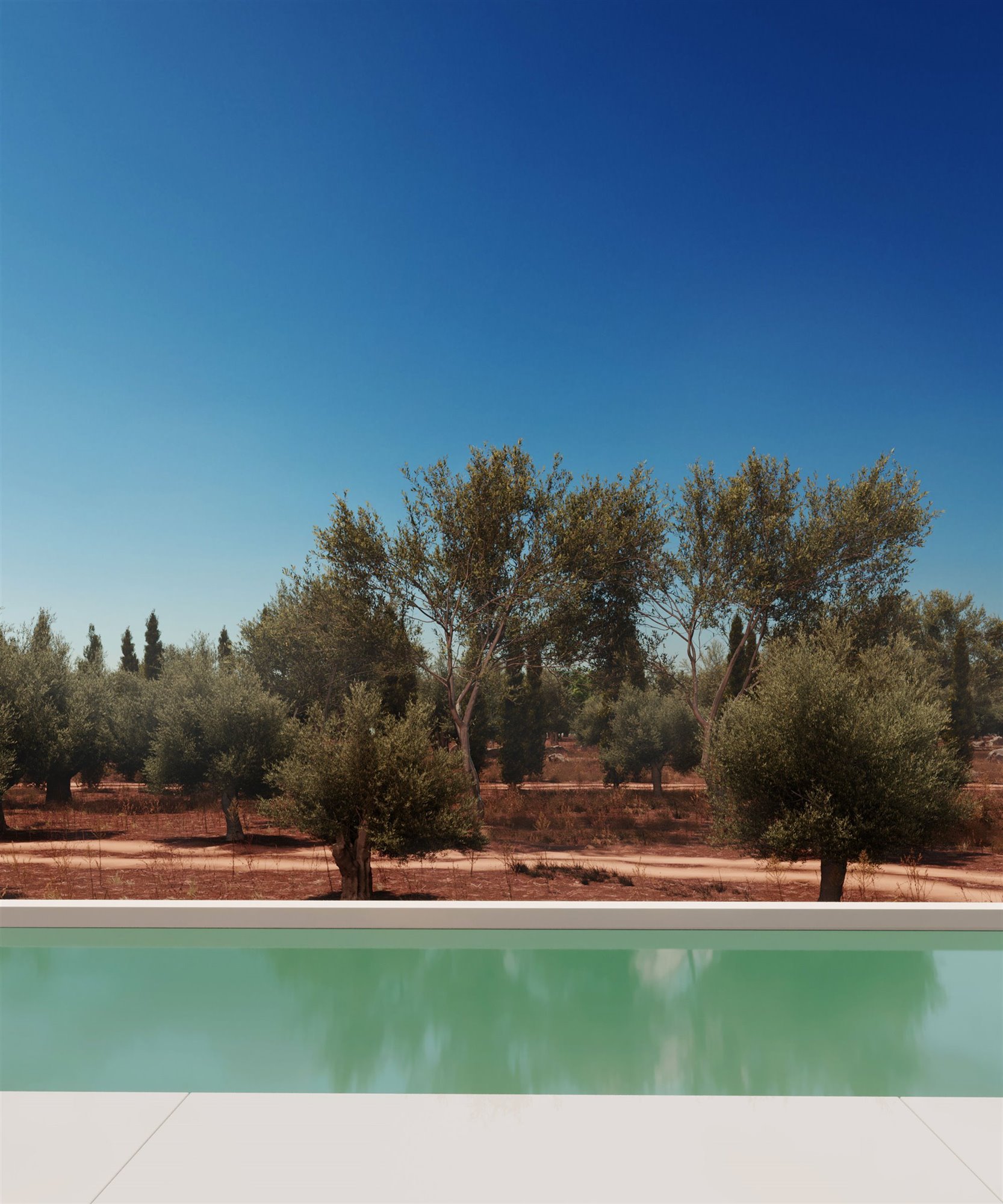 piscina-olivos