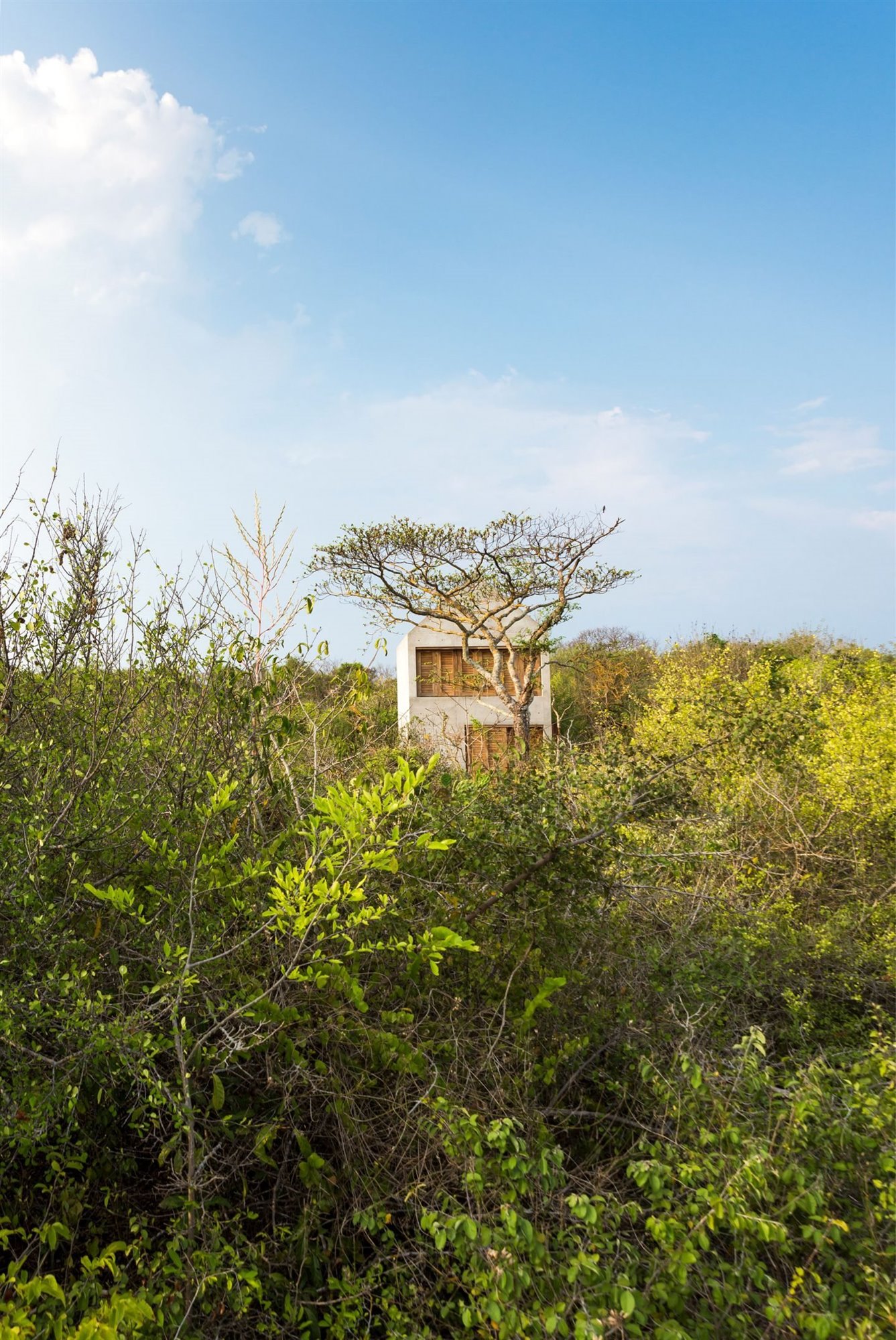 Casa de hormigón en mitad de la selva