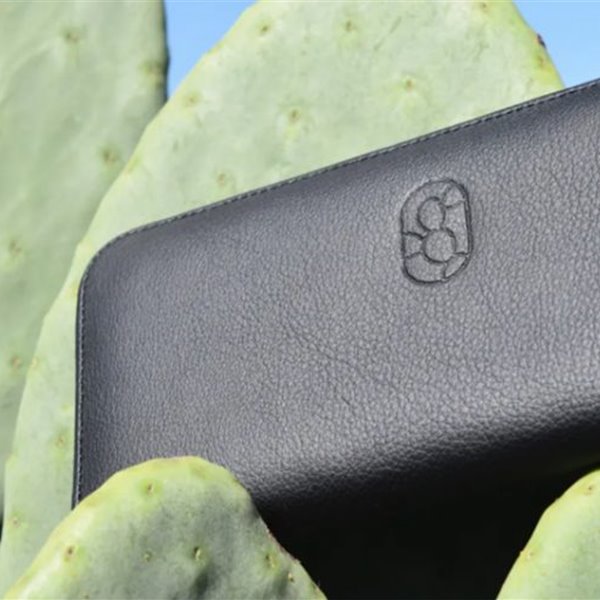 desserto piel vegana cactus 2