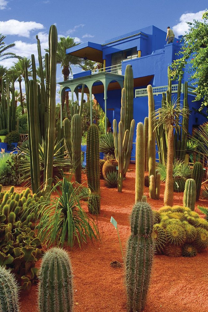 Palmeras, cactus y plantas acuáticas crean un entorno refrescante y de belleza mágica.