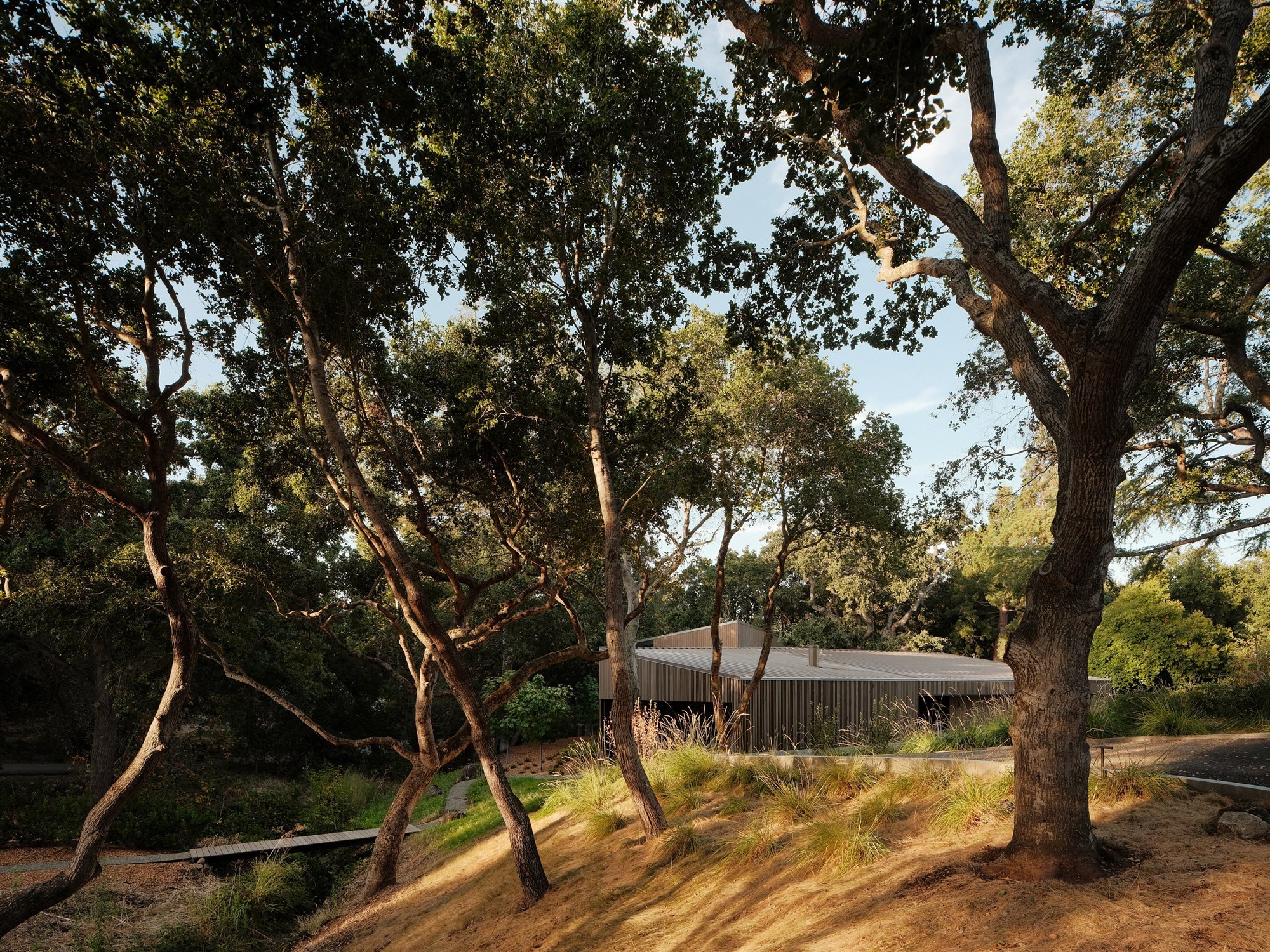 Casa de madera moderna en mitad del bosque