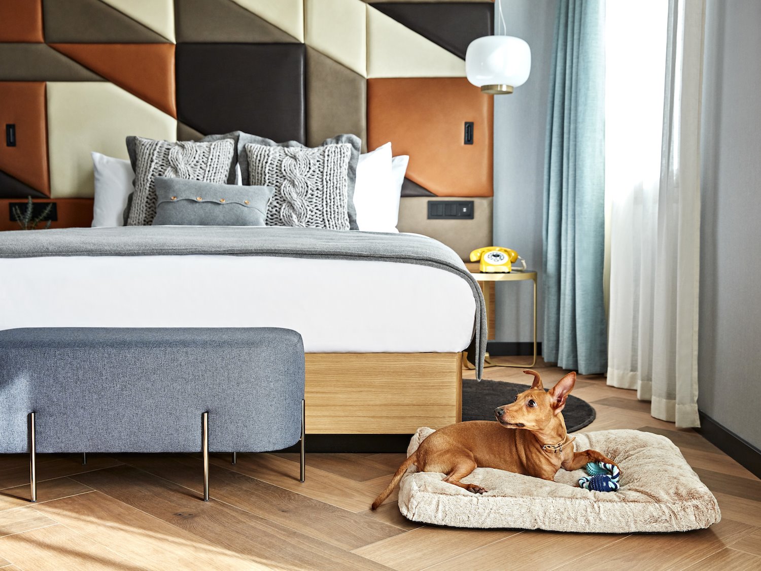 Habitación del hotel vividora en Barcelona pet friendly