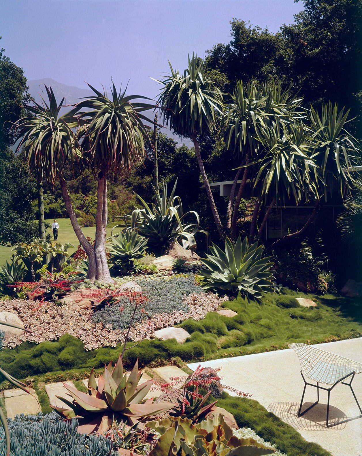 Jardines Casa en Montecido california diseñada por Richard Neutra
