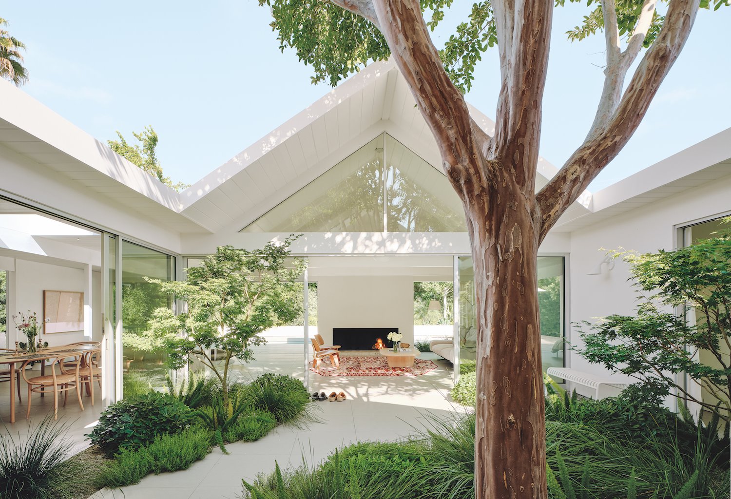 Una moderna casa blanca con piscina y un patio con árboles en Silicon Valley