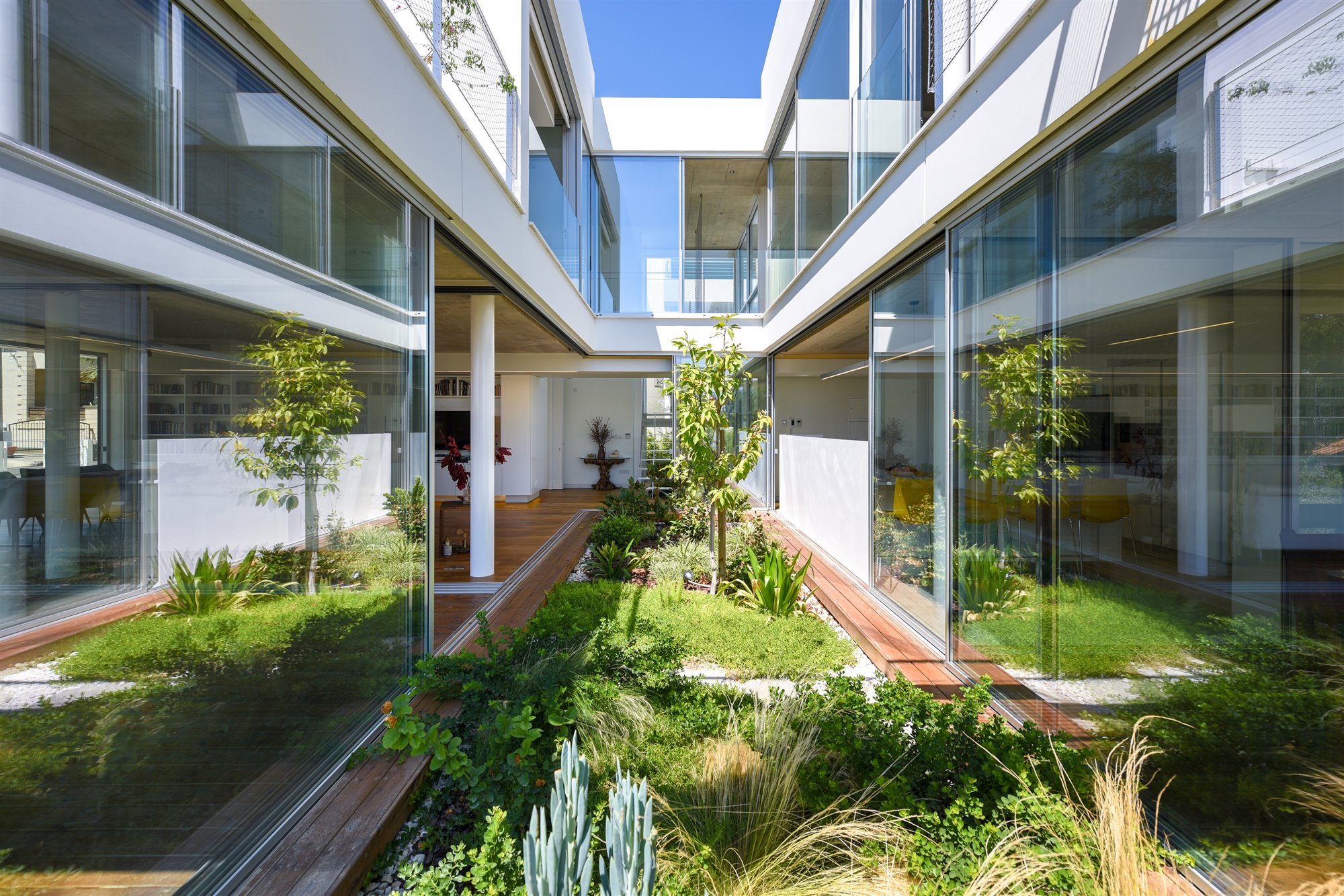 Patio interior con plantas de una casa moderna