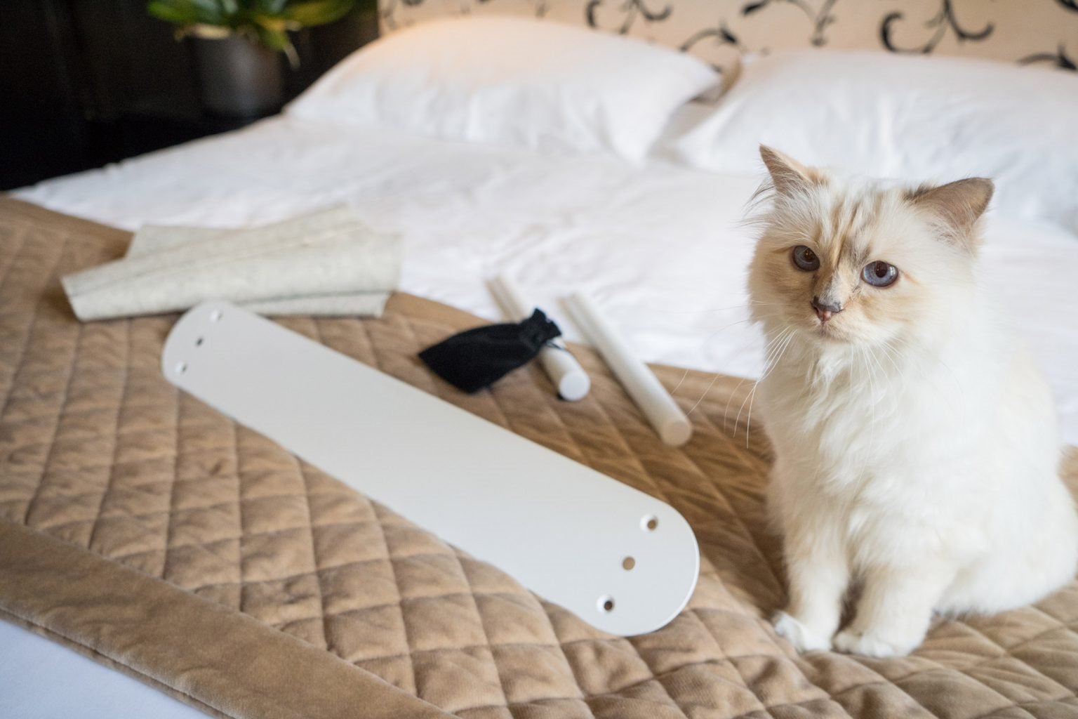 lucybalu-choupette-swing-hamaca-cama-gato-2