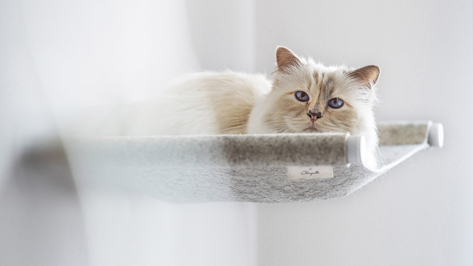 lucybalu-choupette-swing-hamaca-cama-gato-4